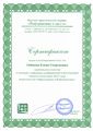 Сертификат НПЖ Информатика в школе Сивцова Е.Г.jpg