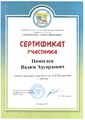 Сертификат участника Помогаев В.jpg