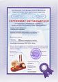 СертификатПанькова 2016.jpg
