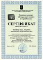 Сертификат 1 Давыденко О.А. эксперта городского конкурса 2014.jpg