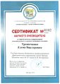 Сертификат научного руководителя Трошечкина Е.В.jpg