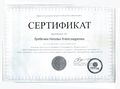 Сертификат Решение Гребенюк Н.А.jpg