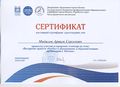 Сертификат ГБПОУ Воробьевы горы 2017 Мадилов А.С.jpg