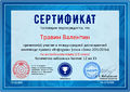 Сертификат участника Проект Инфоурок Травин Пиунова 2016.jpg