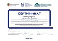 Сертификат ММСО Казмирчук О.Е..jpg