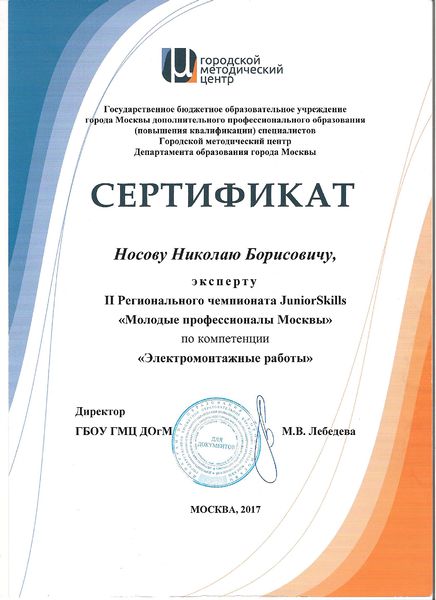 Файл:Сертификат молодые профессионалы 2017 Носов.JPG