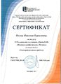 Сертификат молодые профессионалы 2017 Носов.JPG