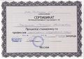 Сертификат Стажировка Универсум бит Свистунова С.А.jpg