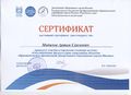 Сертификат ГБПОУ Воробьевы горы Мадилов А.С.jpg