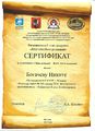 Сертификат участника Регионального этапа конкурса Моя семейная реликвия Богачев Родионова 2017.jpg