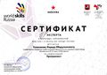 Сертификат эксперта Казиханов Ф.И.jpg