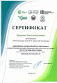 Сертификат 2017 Кулакова О.А.jpg