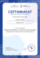 Сертификат Педагогический турнир Родионова 2022.png