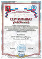 Сертификат участника Команда ГБОУ СПО.jpg