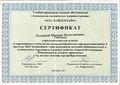 Сертификат Городской мастер - класс Современные техологии металлобработки Галкина М.В. 2015.jpg