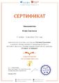 Сертификат проекта Страна читающая Крылов Миниахметова Мочалова ноябрь 2016.jpg