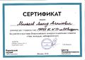 Сертификат Минаков Л.jpg