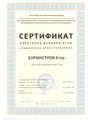 Сертификат Деловая игра Бурмистров Е.А.jpg