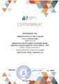 Сертификат Салют Победа Добрышкина.jpg