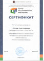 Сертификат Визгиной.jpg