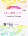 Сертификат Лечкиной Е.Ф. за подготовку призеров интернет-марафона.jpg