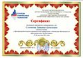 Сертификат КСТ Соловьева Т.А.jpg