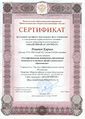 Сертификат Романов Кирилл.jpg