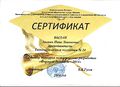 Сертификат участника конкурса методических разработок Акопян Н.Л..JPG