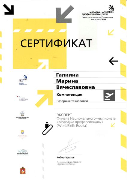 Файл:Сертификат Молодые профессионалы Галкина М.В.jpg