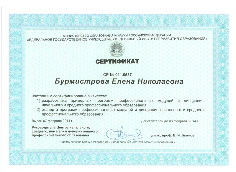 Файл:Сертификат Бурмистровой Е.Н..jpg