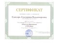 Сертификат участника конференции Слюсарь Е.В.jpg