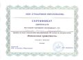 Сертификат Гавриловой Т.А..jpg