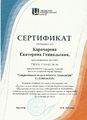 Сертификат участника выездного семинара, Карачарова Е.Г., 2016.JPG
