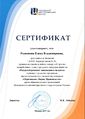 2017 Сертификат Эксперта Родионова 2017.jpg