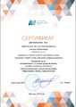 Сертификат эксперта городской очный этап Огненная дуга ГМЦ 2019 Добрышкина.jpg