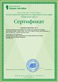 Сертификат публикации феставаля Открытый урок Первое сентября Родионова май 2017.jpg
