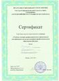 Сертификат участника Слюсарь Е.В.jpeg