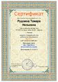 Сертификат 2015 Nsportal Рудзина Т.Н.JPG