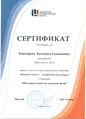Сертификат участника конкурса, Карачарова Е.Г., 2016.jpg