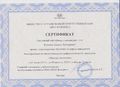 Сертификат Ильясов К.З. 2017г..jpg