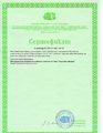 Сертификат 1 о публикации Лечкиной Е.Ф..jpg