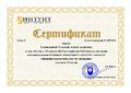 Сертификат ПК ИНТУИТ Гавриловой Т.А. Введение в практическое тестирование.jpg
