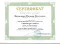Сертификат 31.01.14.jpg