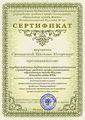 Сертификат за участие в конкурсе профмастерства Скопцовой Н.И..jpg