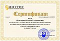 Сертификат Интуит Шанурина М.В.jpg