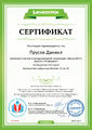 Сертификат участника Инфоурок Прусов Родионова май 2017.jpg