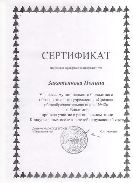 Файл:Сертификат Закотенкова П..jpg