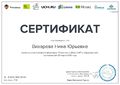 Сертификат Решения в обл IT 28.03.2016.jpg