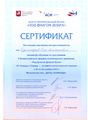 Сертификат Под флагом добра Бурмистров Е.А.jpg