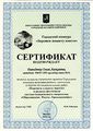 Сертификат Давыденко О.А. эксперта городского конкурса 2014.jpg